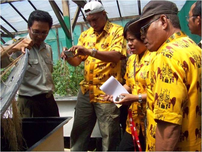 bbppl-Magang Timika-kentang